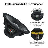 Haut-parleur de graves néodyme 21 pouces 5000W haute puissance pour système audio professionnel de sonorisation de scène