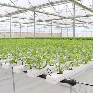Système hydroponique NFT à canaux pour culture de fraises et de laitues, avec support pour plantes - Product Image 2