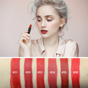 Lipstick makeup Stay all day private label 6 colors with box seabream lipstick matte waterproof lip <span class=keywords><strong>gloss</strong></span> - Product Image 1