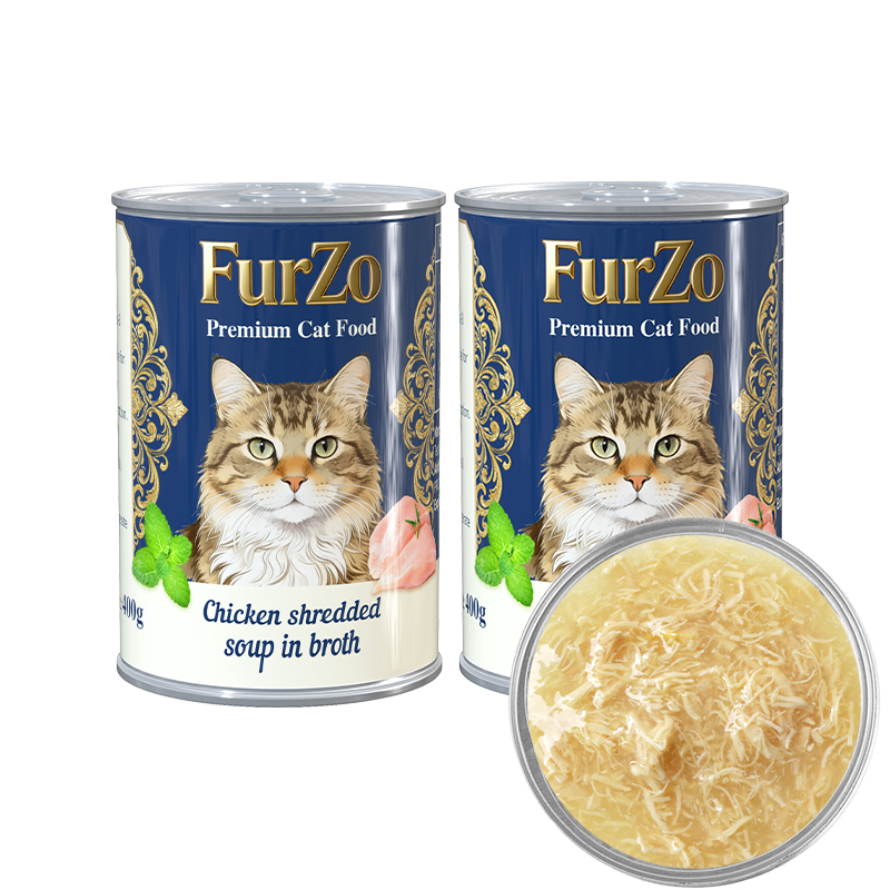 Zuppa di pollo sfilacciato in brodo