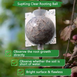 Small Size 5cm Diameter Rooting <strong>Propogation</strong> Plant Rooting Ball Grafting Rooting Growing Box - Product Image 4