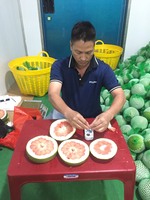 Verse Biologische Groene Citrus Pomelo, Graad A, Hoge Kwaliteit, Model 0084989322607