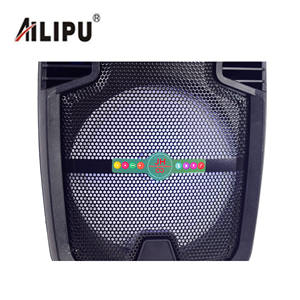 Altavoz Portátil Profesional Inalámbrico de 8 Pulgadas con Subwoofer y Control Remoto, con Micrófonos en Venta - Product Image 3