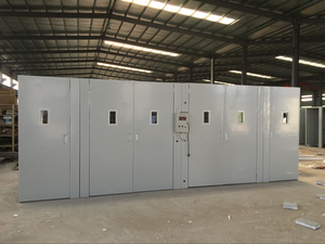 Incubateur automatique pour 3000 œufs, destiné aux grandes exploitations avicoles - Product Image 6