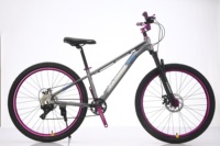 Magnifique vélo de route 700C avec roues en alliage intégrées, cadre en alliage d'aluminium, suspension avant, 9 vitesses, disponible en taille 24 pouces