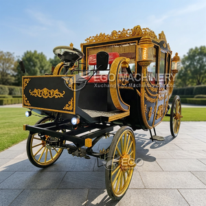 Charrette de transport électrique spéciale pour visites touristiques, calèche royale de mariage à vendre - Product Image 6