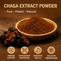 Extrait concentré de champignon Chaga en poudre, Beta-D-Glucane ≥20%, Biologique USDA EU, Corps fruiteur, OEM en vrac