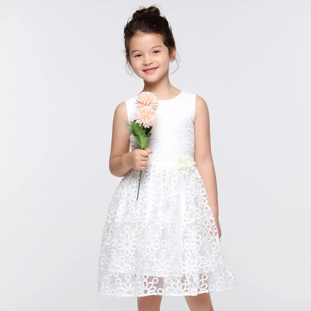 Hight Quality Girls Princess Dresses Embroidered Flower Dress Girls Elegant Party Dresses Children Summer Embroidery Fabric