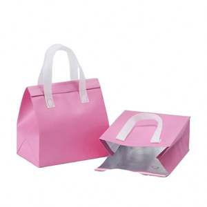 Bolsas de Picnic Impermeables con Logotipo Personalizado, Bolsa Térmica para Cerveza, Bolsa de Transporte Aislante de Tela No Tejida - Product Image 1