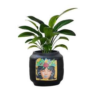Elegante Macetero Decorativo Negro para Interiores, Porta Plantas de Mesa, Decoración para Sala de Estar, Hogar, Oficina, Escritorio - Product Image 1