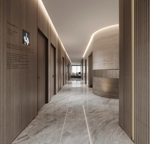 Design degli interni su misura per centri benessere e cliniche di lusso con identità di marca, rendering 3D e sistemi di porte e finestre personalizzati - Product Image 3