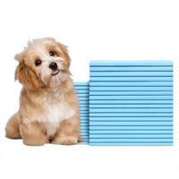 Tapis absorbants non tissés SAP épaissis et désodorisants pour chiens ; Tapis d'apprentissage de la propreté pour chiens Teddy