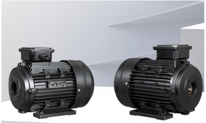 <span class=keywords><strong>Motor</strong></span> <span class=keywords><strong>de</strong></span> Eje Interno Femenino <span class=keywords><strong>de</strong></span> 4kW 5.5hp 5.5kW 7.5hp para Hidrolavadora <span class=keywords><strong>de</strong></span> Alta Presión 380V 220V Personalizable - Product Image 3