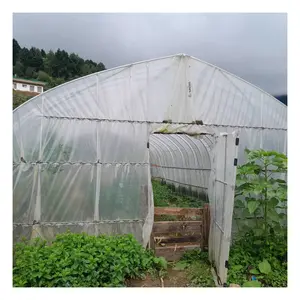 Sistemi idroponici a serra verticale film plastico ad alto tunnel serra a basso prezzo serra a campata singola per esterni