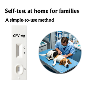 Kit de test rapide pour la détection des parasites du sang Anaplasma Ehrlichia chez les chiens Instrument vétérinaire pour les soins des animaux de compagnie CPV-Ag CCV/CDV/CPV - Product Image 5