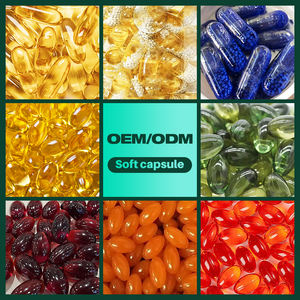 Suplemento orgánico de hongos en polvo de extracto de micelio, cápsulas blandas de hongos, OEM, ODM, Etiqueta Privada, Suuport inmune y energético - Product Image 4