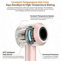 Sèche-cheveux électrique pliable à moteur DC, ionique, haute vitesse, 3 vitesses, avec ions négatifs, 1600W, pour usage hôtelier et domestique, directement des fabricants