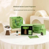 Coffret Cadeau Aromathérapie Wild Sanctuary – Diffuseur à Bâtonnets Luxueux, Parfum d'Ambiance Sans Fumée, Article Décoratif, Souvenir