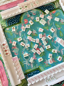 Spot the Minimal Line: Juego de Fichas de Mahjong Palm Springs de Lujo, Personalizadas, de Acrílico de una Sola Capa, Ideales para Fiestas y Entretenimiento - Product Image 6