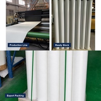 Film en fluorocarbone de qualité supérieure, directement de l'usine, pour l'enveloppe des bâtiments et les toitures, membrane d'étanchéité autocollante en butyl en rouleau