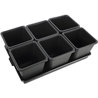 Pots de cactus succulents de pépinière en plastique grand noir clair transparent fente carrée