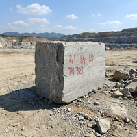 TY Own Quarry LangTaoSha Shandong Granit Gris Bloc Brut Taillé et Poli Écologique Solution Complète Moderne pour Carrelage de Villa et Parc