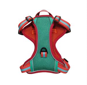 Arnés para Perro Antitirones con Costuras de Color Ajustable, Conjunto de Arnés para Perro para Paseos al Aire Libre, Collar de Moda para Perro - Product Image 2