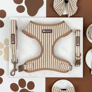 Conjunto de Coleira e Guia para Cães Personalizado de Luxo, Coleira Ajustável para Filhotes, Saco para Dejetos de Animais de Estimação, Guia e Coleira para Cães em Neoprene Respirável - Product Image 1