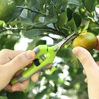 Roestvrijstalen handmatige veiligheidsschaar voor tuinieren, fruitplukken, druiven, citrus, snoeien, groenten, bloemen, met puntige punt, 20 mm