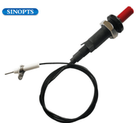Allumeur universel à bouton-poussoir pour gaz et électricité