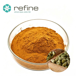 Extracto de Cardamomo Orgánico en Polvo, Cardamonina 99%, Grado Alimenticio, Extracto Natural de Cardamomo para Cuidado Personal y Cosméticos - Product Image 1