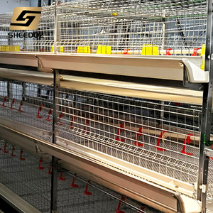 Nuova Gabbia Automatica Tipo H per Allevamento di Polli in Acciaio Zincato Multifunzionale per Galline Ovaiole e Polli da Carne - Product Image 6