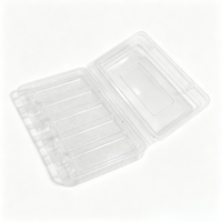 Confezioni Personalizzate Sicure, Monouso, Riciclabili, Trasparenti per Biscotti, Torte, Pane, Insalata, Scatole in Plastica PET per Pasticceria