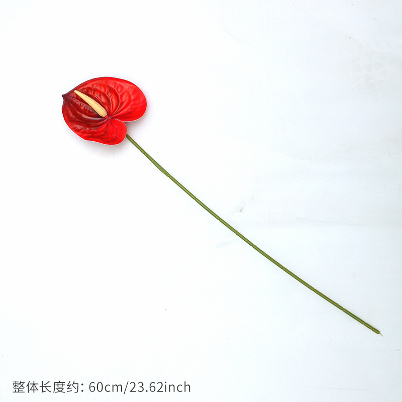 สีแดง