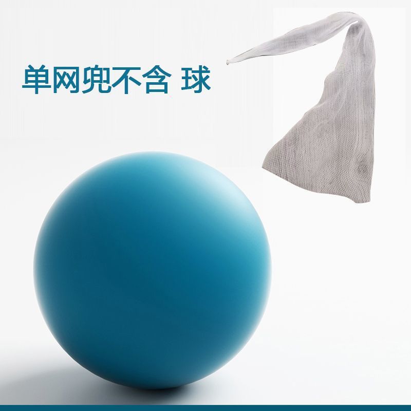 Le modèle en plastique (panier de basket) n'inclut pas la balle