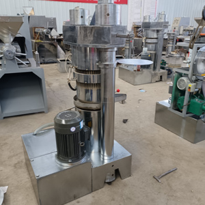 Máquina Automática para Prensado en Frío y Caliente de Aceite de Sésamo, Alta Eficiencia, Capacidad de 150 kg/h, Extractor Hidráulico de Aceite - Product Image 4