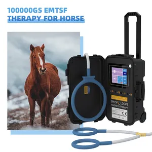 Dispositivo di terapia del campo elettromagnetico pulsato pemf per terapia magnetica del cavallo