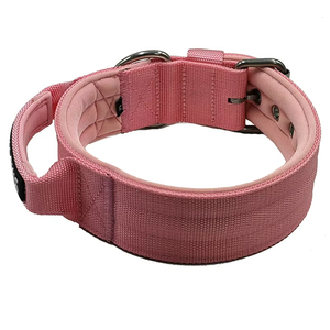 Venta directa Nuevo producto Collares de perro de nailon de entrenamiento de alta resistencia <span class=keywords><strong>Collar</strong></span> de perro mascota duradero ajustable con mango de control - Product Image 4