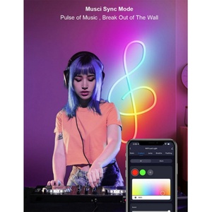 รีโมทคอนโทรล IP67 5V USB IC-RGB ไฟนีออน LED แถบ LED ควบคุมผ่านแอพ สมาร์ทคอนโทรล ซิงค์เพลง ไฟนีออนสีสันสวยงาม - Product Image 3