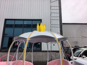 Chariot de luxe royal à chevaux, électrique, avec éclairage LED, taille réelle, pour 4 à 6 personnes, idéal pour les mariages - Product Image 6