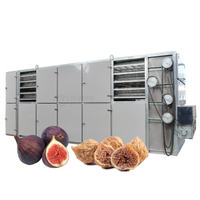 Équipement de séchage automatique continu à grande capacité avec bande transporteuse en maille pour figues et longanes