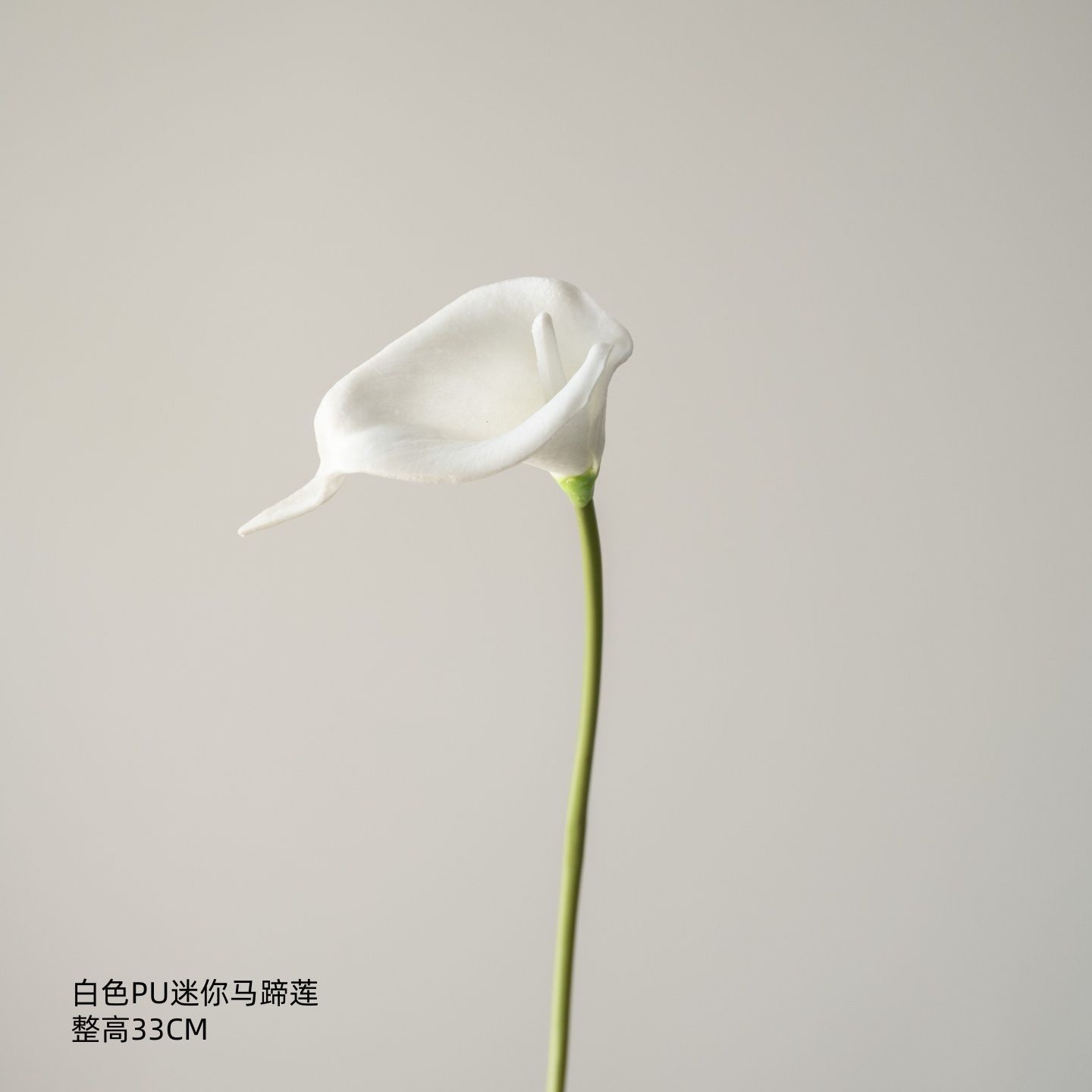 Mini lys calla blanc