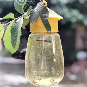 Piège à mouches des fruits en gros, piège collant jaune pour insectes, pour la lutte antiparasitaire des vergers, jardins et exploitations agricoles - Product Image 6
