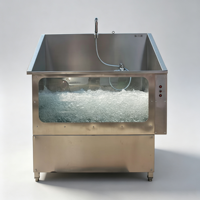 Baignoire d'hydrothérapie professionnelle pour animaux de compagnie en acier inoxydable - Grande station de bain pour chiens avec bulles et fenêtre de visualisation