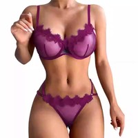 Ensemble de Lingerie Sexy pour Femmes, Lingerie de Gros d'Usine, Soutien-Gorge et Culotte Deux Pièces Sans Coutures, Soutien-Gorge Érotique Ultra Sexy en Dentelle Transparente