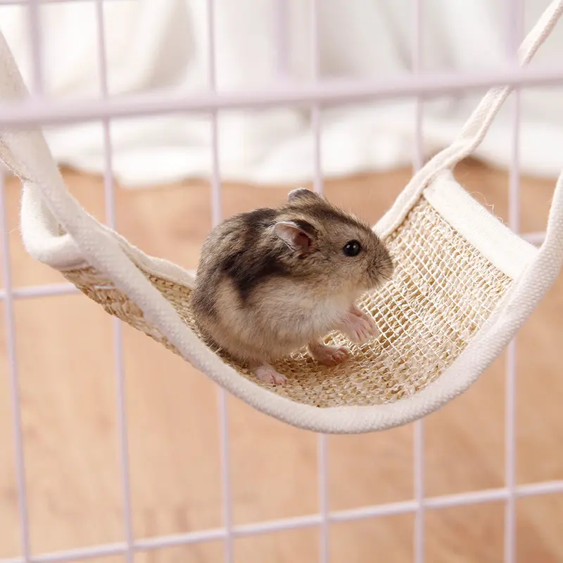 Toptan hamak Hamster sürüngen çim halı Pet yatak sürüngen teraryum Geckos salıncak Pet sürüngen oyuncak asılı kanepeler