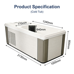 Vanace Commercial Acrylic Ice Bath Tub All in One with Chiller and <b>Filter</b> for Hotel Gym Spa - Product Image 3