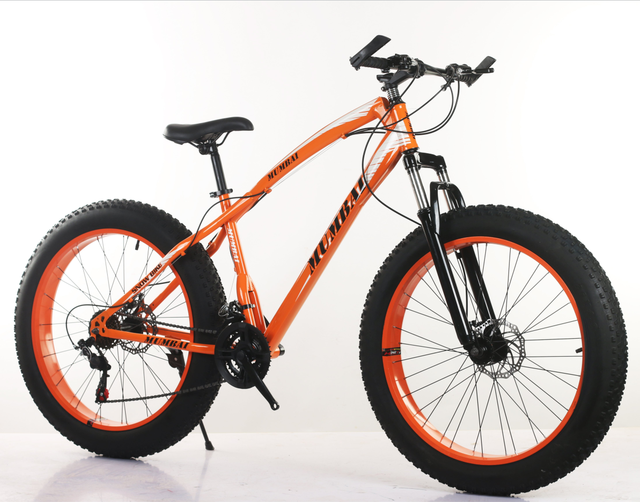 2021 Fat Bicycle Big Tire Mountain Bike Full Suspension Mountain Bike