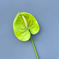 Offre Spéciale – Fleur d'Anthurium Artificielle Effet Naturel, Bourgogne, Verte, Rose, Tige en Latex 60cm pour Arrangements Floraux de Mariage et Décoration Intérieure