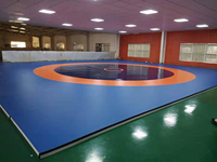 Tapis de rouleau de mousse de surface en vinyle Offre Spéciale tapis de rouleau de lutte tapis de Wushu tapis en mousse collée pour sol BJJ